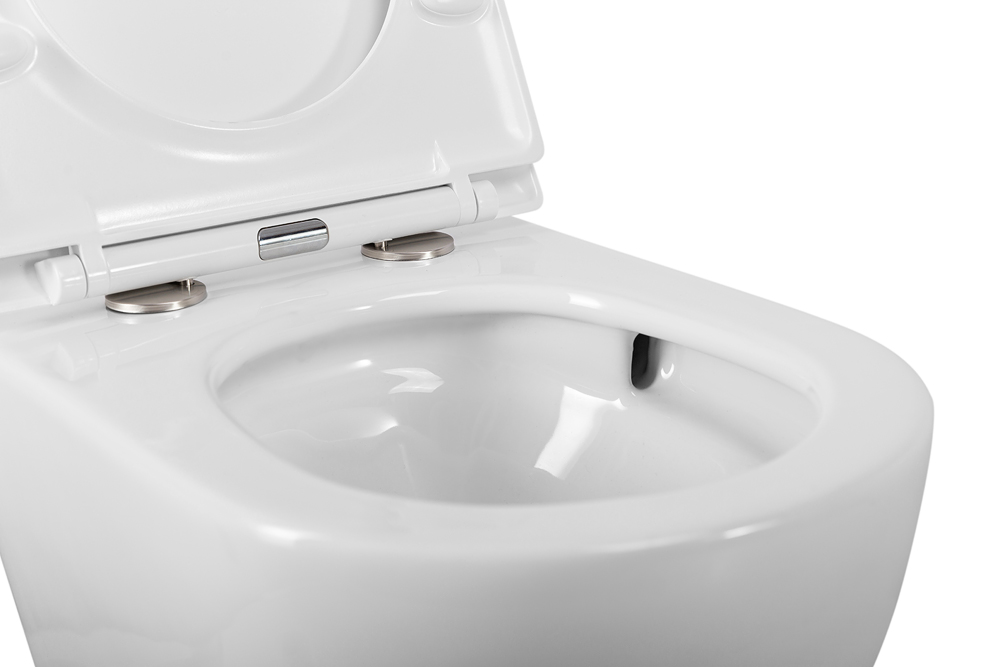 Унитаз подвесной безободковый с сиденьем CEZARES RELAX CZR-38088-49-TH-TOR/SC - Gidratop.ru изображение