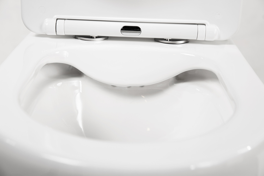 Унитаз-компакт безободковый BelBagno AMANDA BB051CPR/BB051SC - Gidratop.ru изображение
