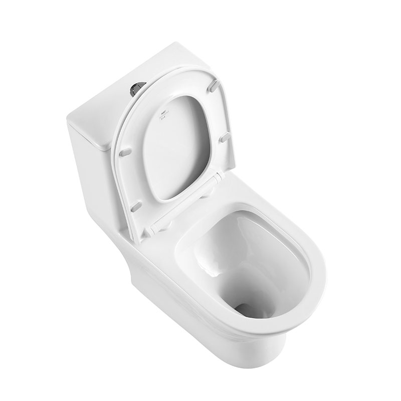LOUNGE Унитаз-моноблок с сиденьем дюропласт soft close, P-trap BB8618CPR-MN/SC - Gidratop.ru изображение