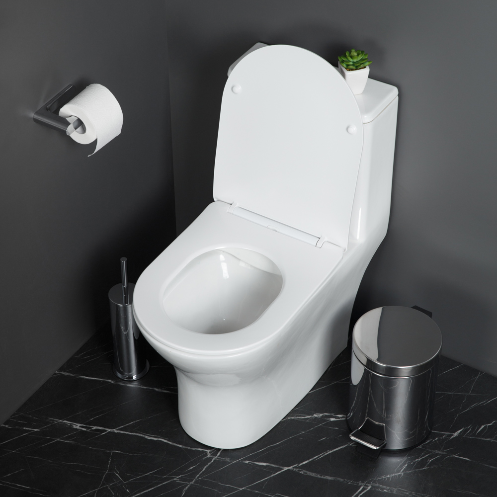 LOUNGE Унитаз-моноблок с сиденьем дюропласт soft close, P-trap BB8618CPR-MN/SC - Gidratop.ru изображение