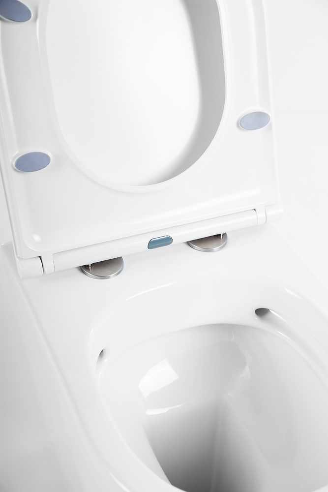 Унитаз приставной безободковый BelBagno MARINO BB105CBR/BB870SC - Gidratop.ru изображение
