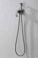 Смеситель ABBER Wasserfall AF8625NG с гигиеническим душем, никель - Gidratop.ru изображение