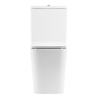 Унитаз-компакт безободковый BelBagno ARDENTE-R BB02093CPR/BB2112SC - Gidratop.ru изображение