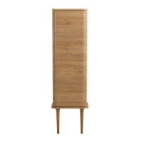 IDRA Колонна подвесная с дверью, реверсивная 55821 Rovere Tabacco, 47,5x37x123 - Gidratop.ru изображение
