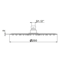 Newform X-STEEL 316 Верхний душ, d250 мм, без кронштейна, G1/2" , цвет: INOX - Gidratop.ru изображение