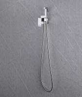 Смеситель ABBER Wasserfall AF8625 с гигиеническим душем, хром - Gidratop.ru изображение