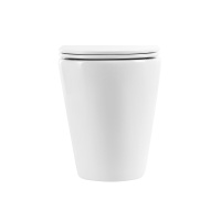 Унитаз приставной безободковый BelBagno MARINO BB105CBR/BB870SC - Gidratop.ru изображение