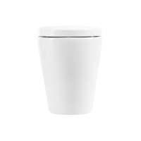 Унитаз приставной безободковый BelBagno MARINO BB105CBR/BB865SC - Gidratop.ru изображение