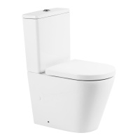 Унитаз-компакт безободковый BelBagno FLAY-R BB2149CPR/BB2149T/BB865SC - Gidratop.ru изображение