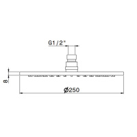 Newform XT Верхний душ, d250 мм, без кронштейна, G1/2" , цвет: хром - Gidratop.ru изображение