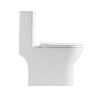LOUNGE Унитаз-моноблок с сиденьем дюропласт soft close, P-trap BB8618CPR-MN/SC - Gidratop.ru изображение